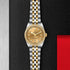 Black Bay S&G 31 Watch - 3